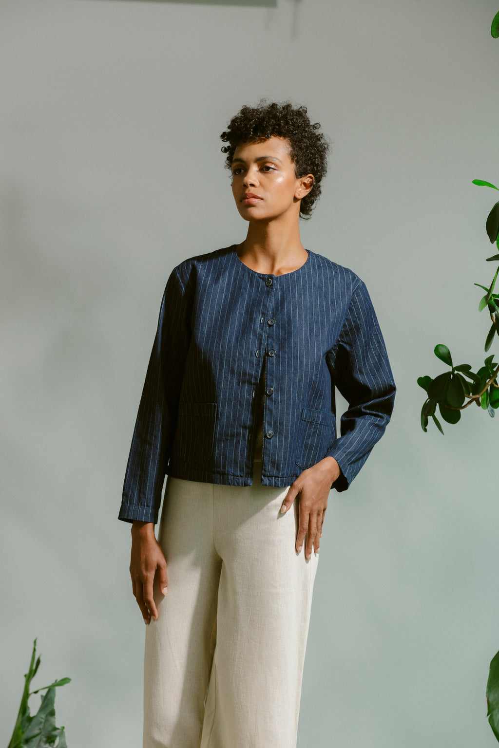 Simplicity Jacket - Pinstripe