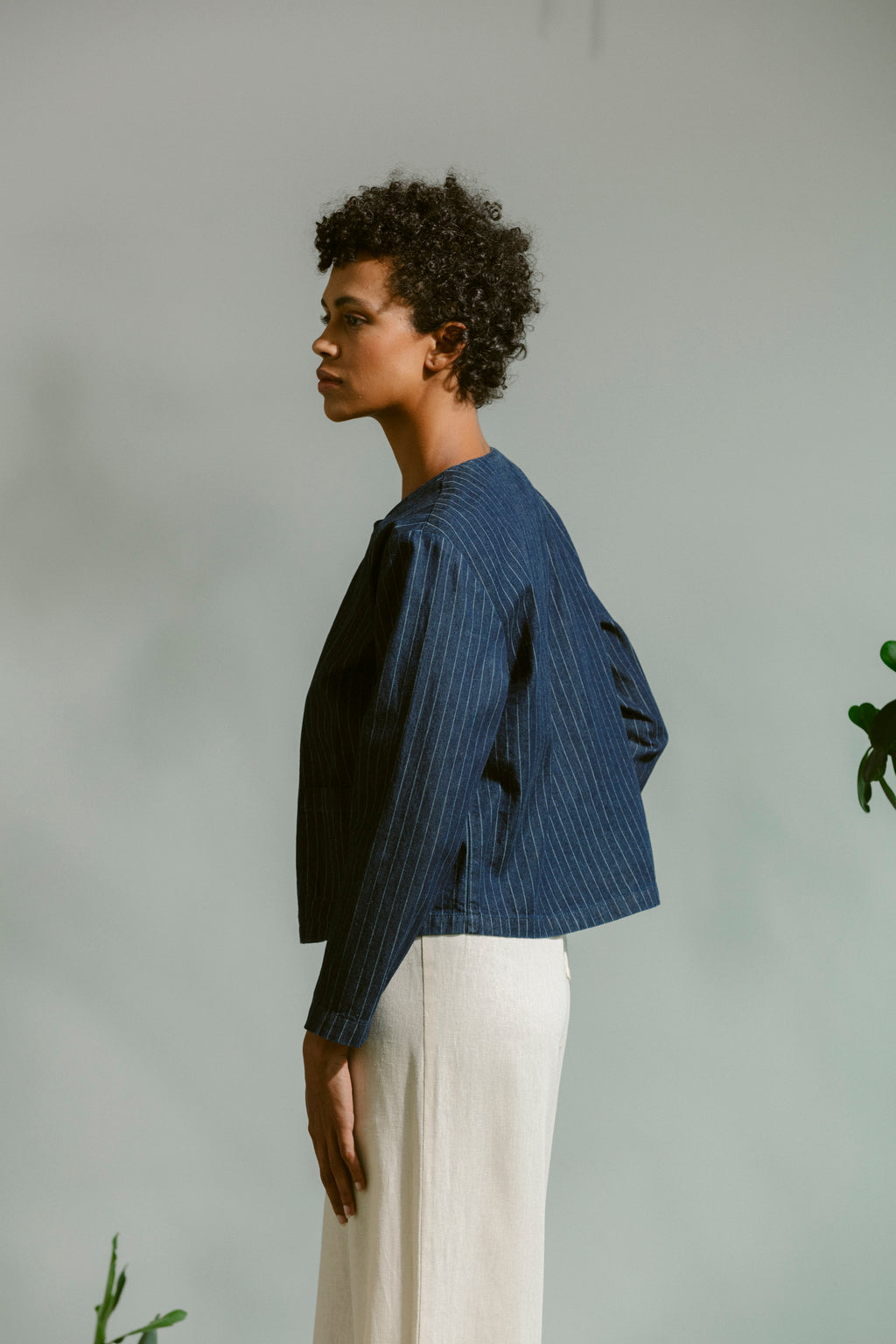 Simplicity Jacket - Pinstripe