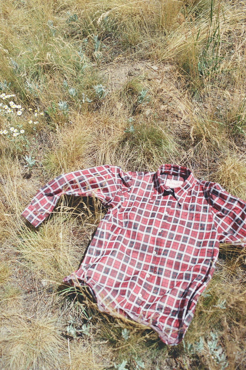 Dagger Shirt - Plaid