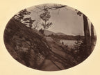 Laurel Raglan Jacket - Landscape